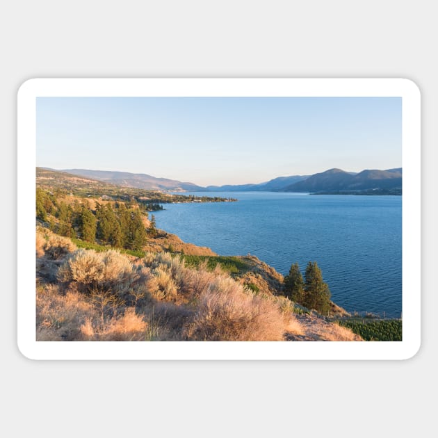 Summer Evening View of Okanagan Lake and Naramata Sticker by Amy-K-Mitchell